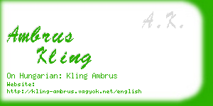 ambrus kling business card